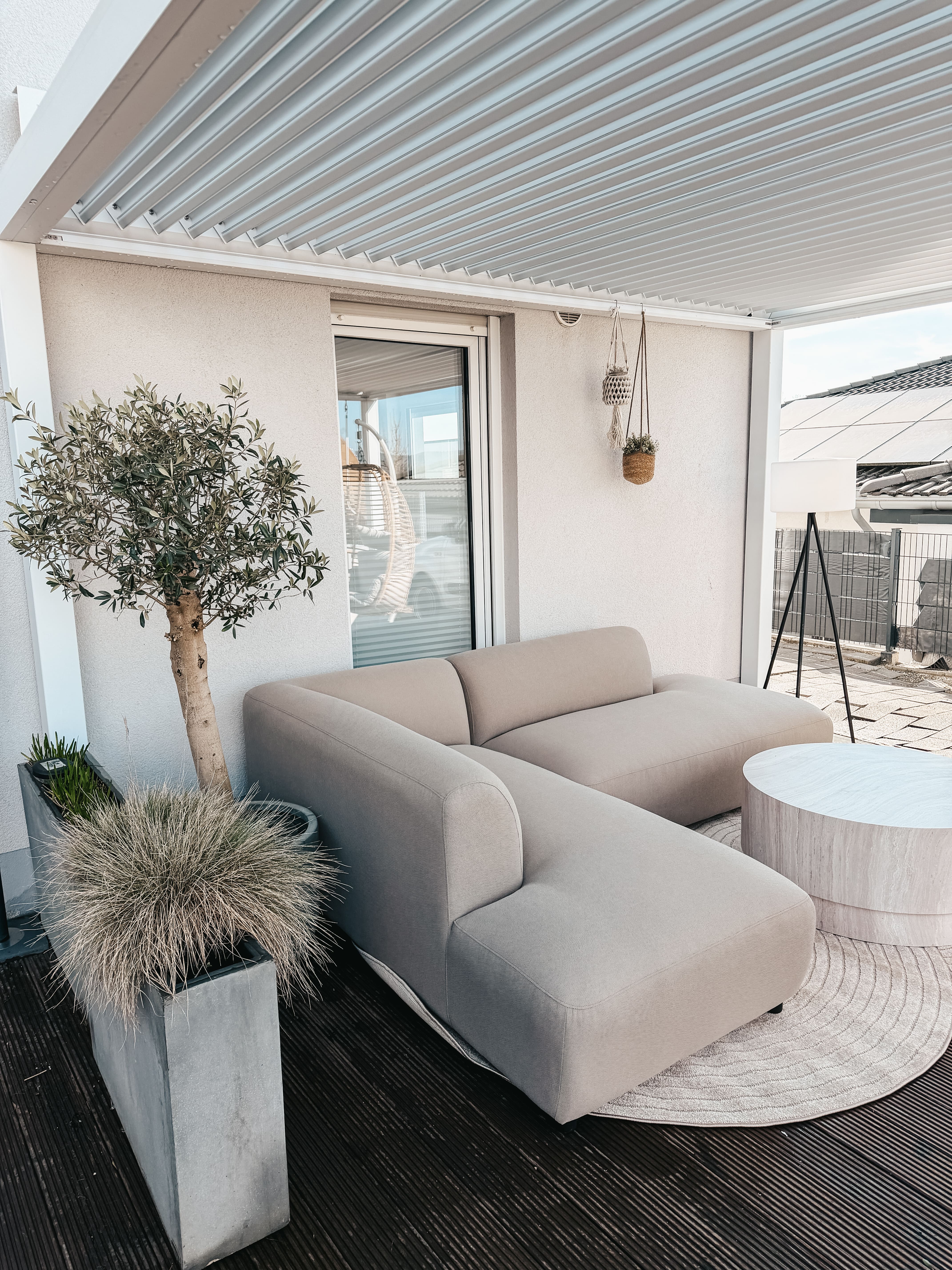 Dachterrasse mit Lounge-Sofa und Olivenbaum